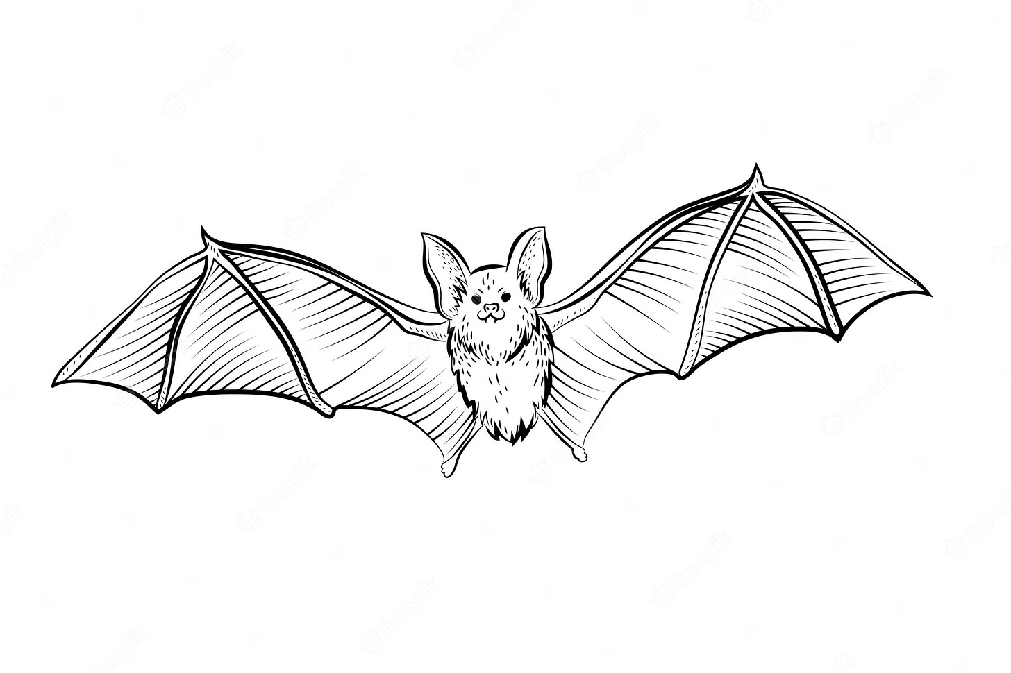 Bat Drawing Images - Free Download on Freepik