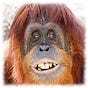 : Time To Get Busy - GrottNow!'s avatar