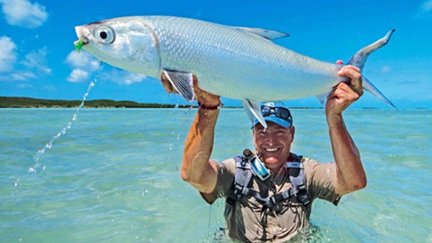 Alphonse Island Lodge