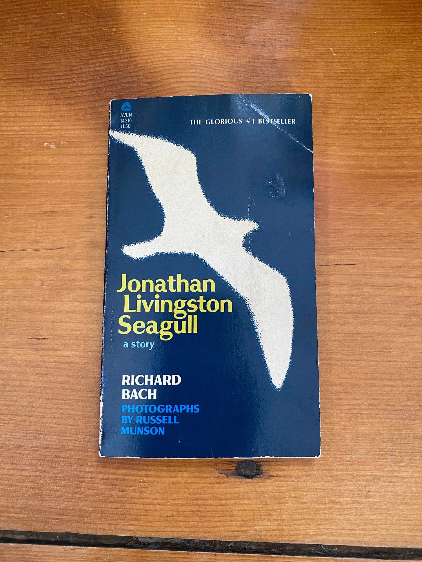 Jonathan Livingston Seagull by Richard Bach with Photographs by Russell  Munson - 1973 Paperback Book