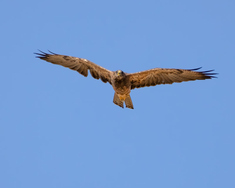 20250801-Manville-119-Edit.jpg 20250801-Manville-119-Edit.jpg