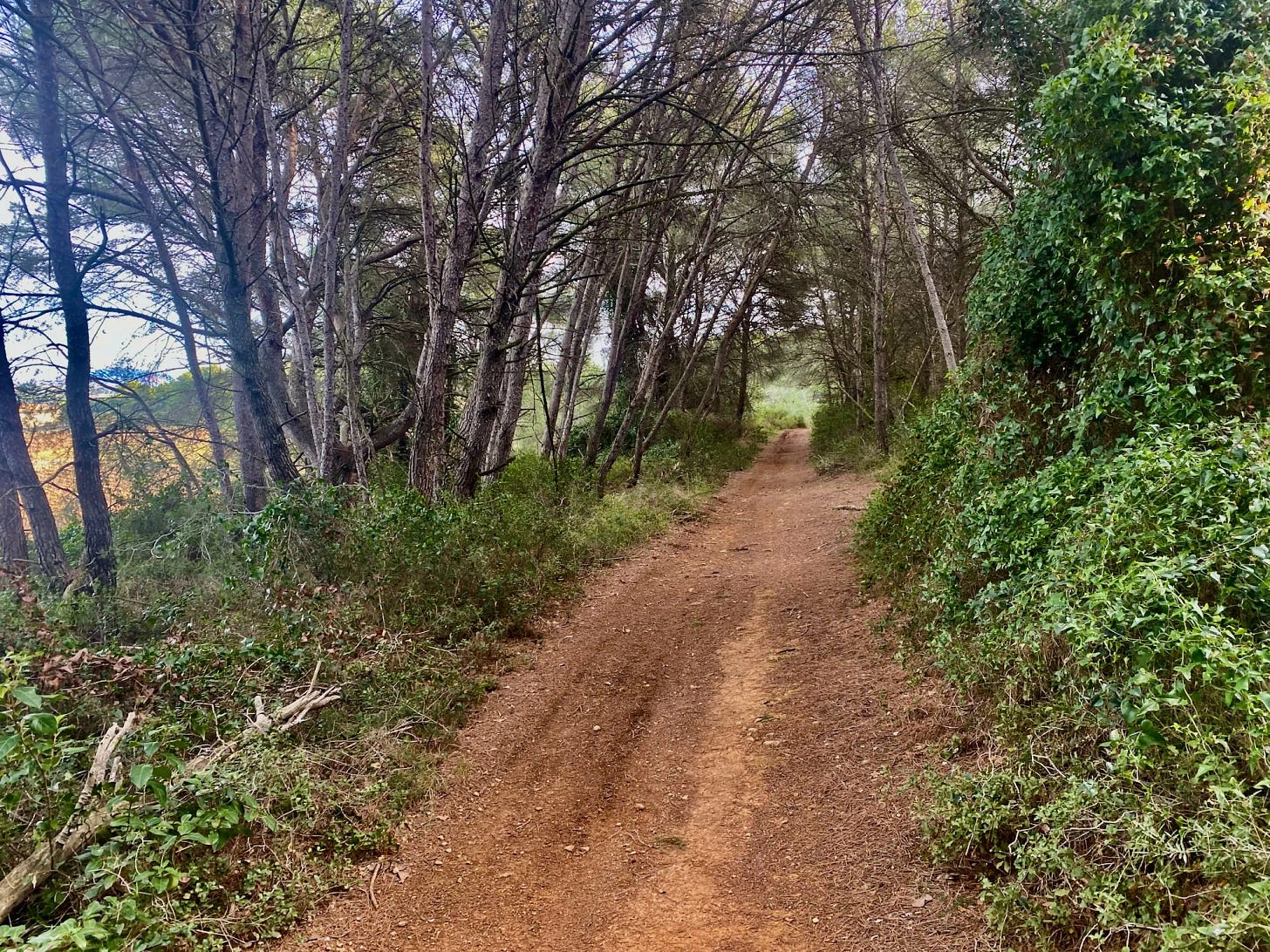 Chemin Chemin