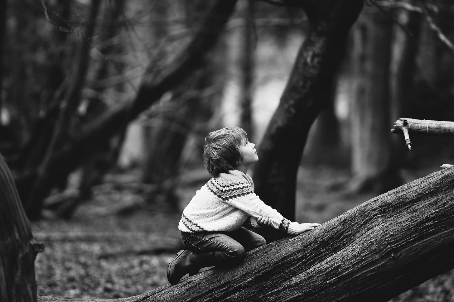 A young boy sitting alone on a fallen log in a blurry forest, gazing thoughtfully along its length.