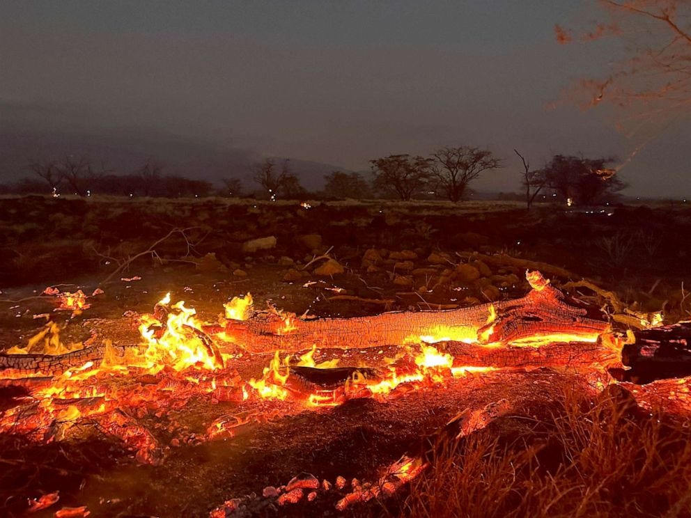 Why climate change can't be blamed for the Maui wildfires