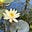 Gerri Caisse Kight's avatar