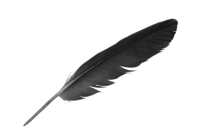 The Powerful Meaning & Symbolism Of Black Feathers