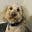 OmgPuppies's avatar