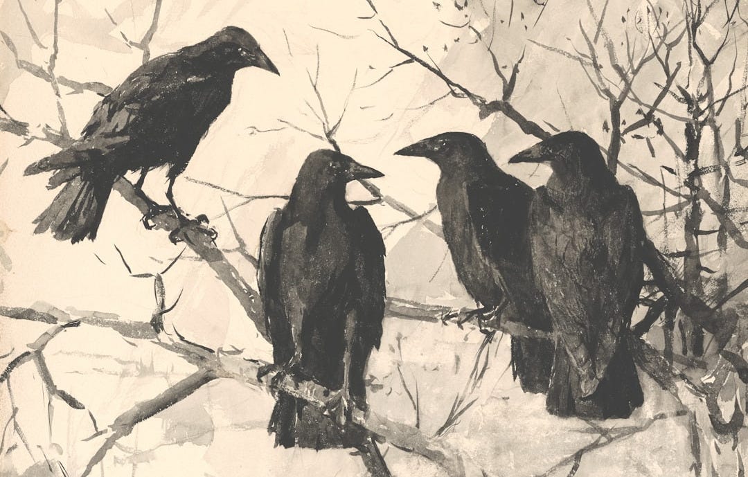a group of black birds sitting on top of a tree branch