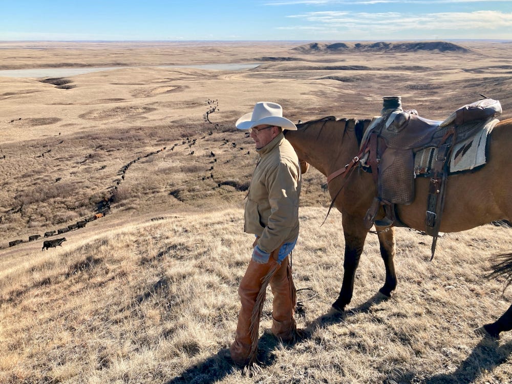 Reg Schellenberg. (Schellenberg family photo via Canadian Cattlemen)
