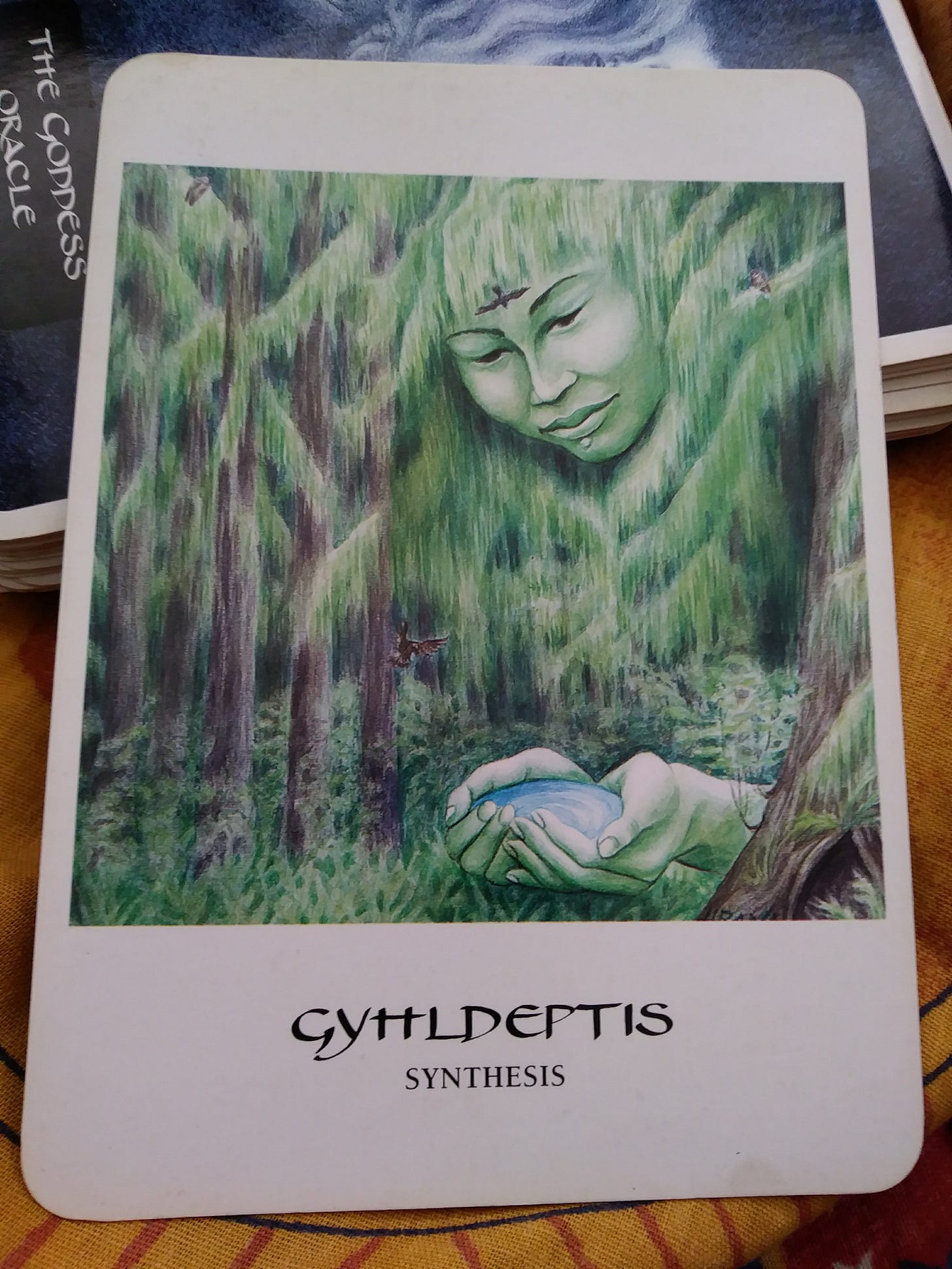 A Message from the Universe - Gyhldeptis