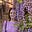 Jo Thompson's avatar