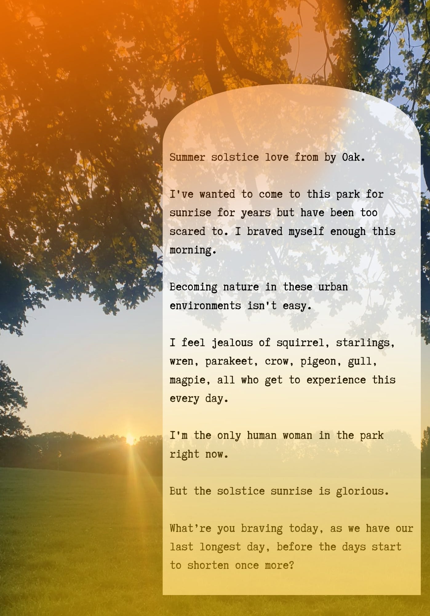 Summer solstice love from by Oak.   I've wanted to come to this park for sunrise for years but have been too scared to. I braved myself enough this morning.  Becoming nature in these urban environments isn't easy.  I feel jealous of squirrel, starlings, wren, parakeet, crow, pigeon, gull, magpie, all who get to experience this every day.  I'm the only human woman in the park right now.  But the solstice sunrise is glorious.  What’re you braving today, as we have our last longest day, before the days start to shorten once more?