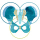 The Pelvic Connection