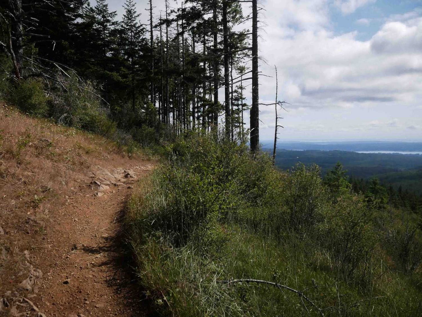 Discover Dirt Bike Trails in SeaTac, Washington: Beginners to Advanced |  onX Offroad