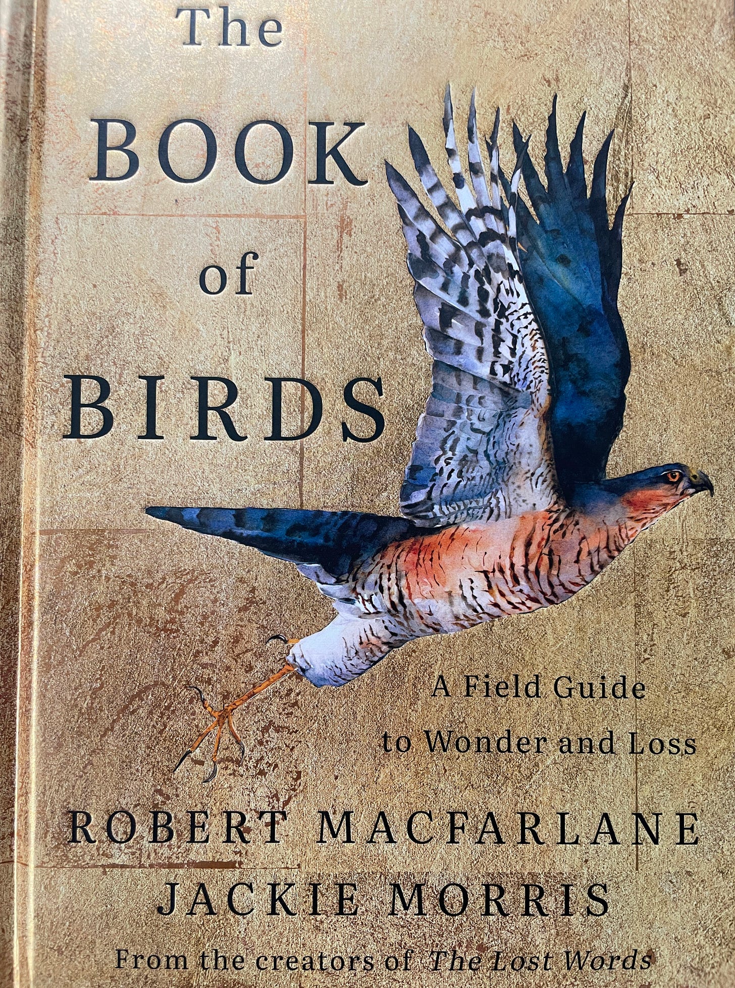 cover of The Book of Birds by Robert MacFarlane and Jackie Morris