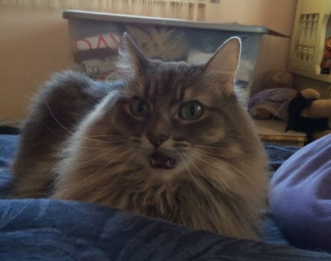 Kali_Open_Mouth Kali_Open_Mouth