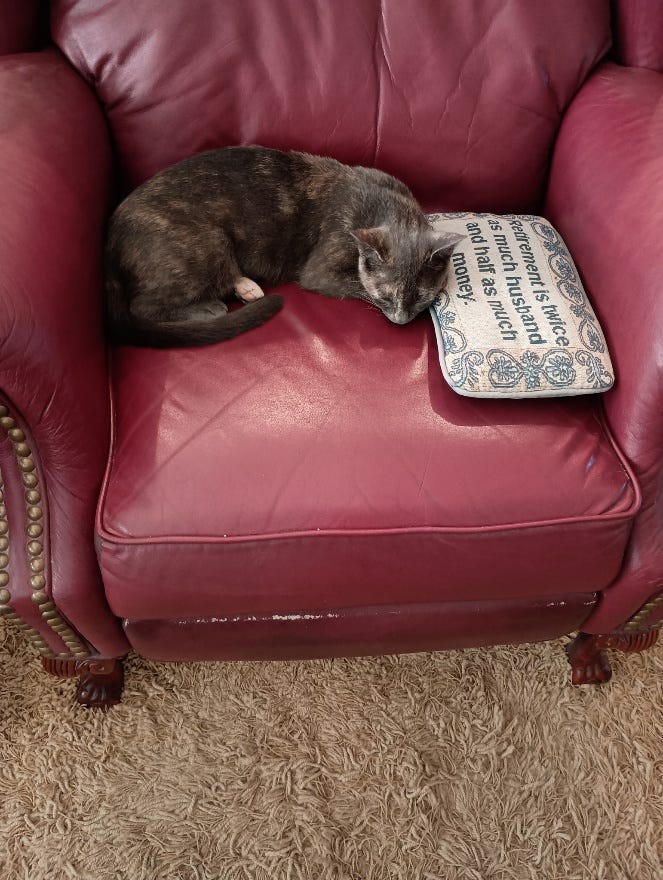 A cat lying on a chair

AI-generated content may be incorrect.