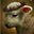 Joanne F's avatar