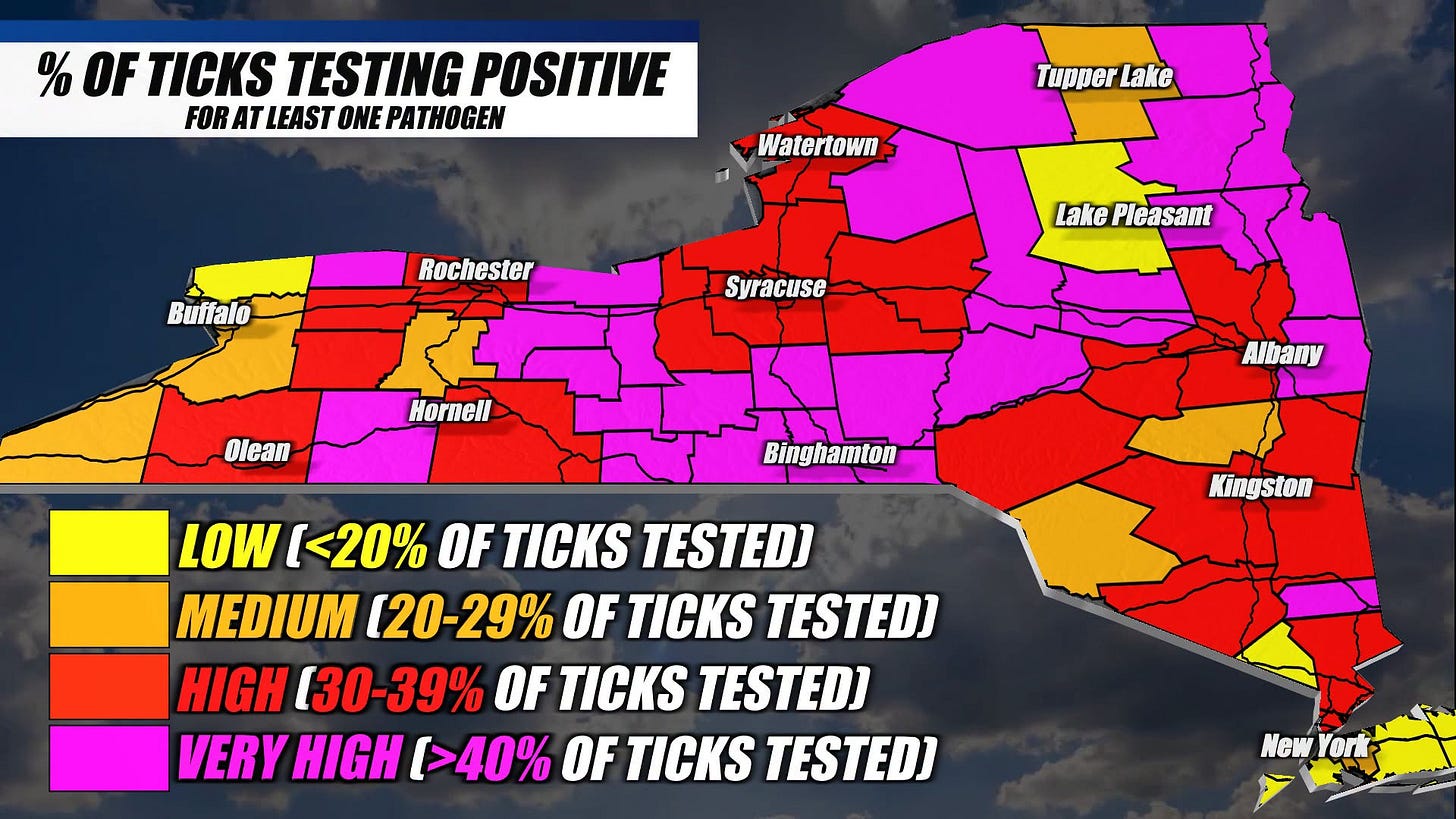 May be a graphic of map and text that says '% OF TICKS TESTING POSITIVE FOR AT LEAST ONE PATHOGEN Tupper TupperLake lake Watertown Buffalo Rochester Syracuse Lake LakePleasant Pleasant Olean Hornell Albany Binghamton Kingston LOW [<20% OF TICKS TESTED] MEDIUM [20-29% OF TICKS TESTED] HIGH [30-39% OF TICKS TESTED] VERY HIGH [>40% OF TICKS TESTED] Now NowYork York'