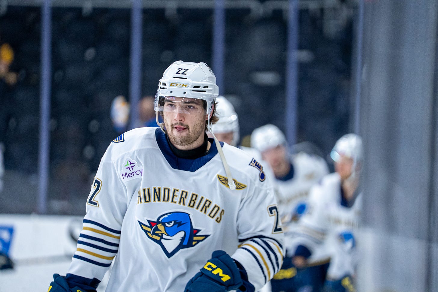 Springfield Thunderbirds forward Dylan Peterson (22)