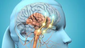 21 Oxytocin Stock Videos, Footage, & 4K ...