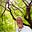 Gert van der Westhuizen's avatar