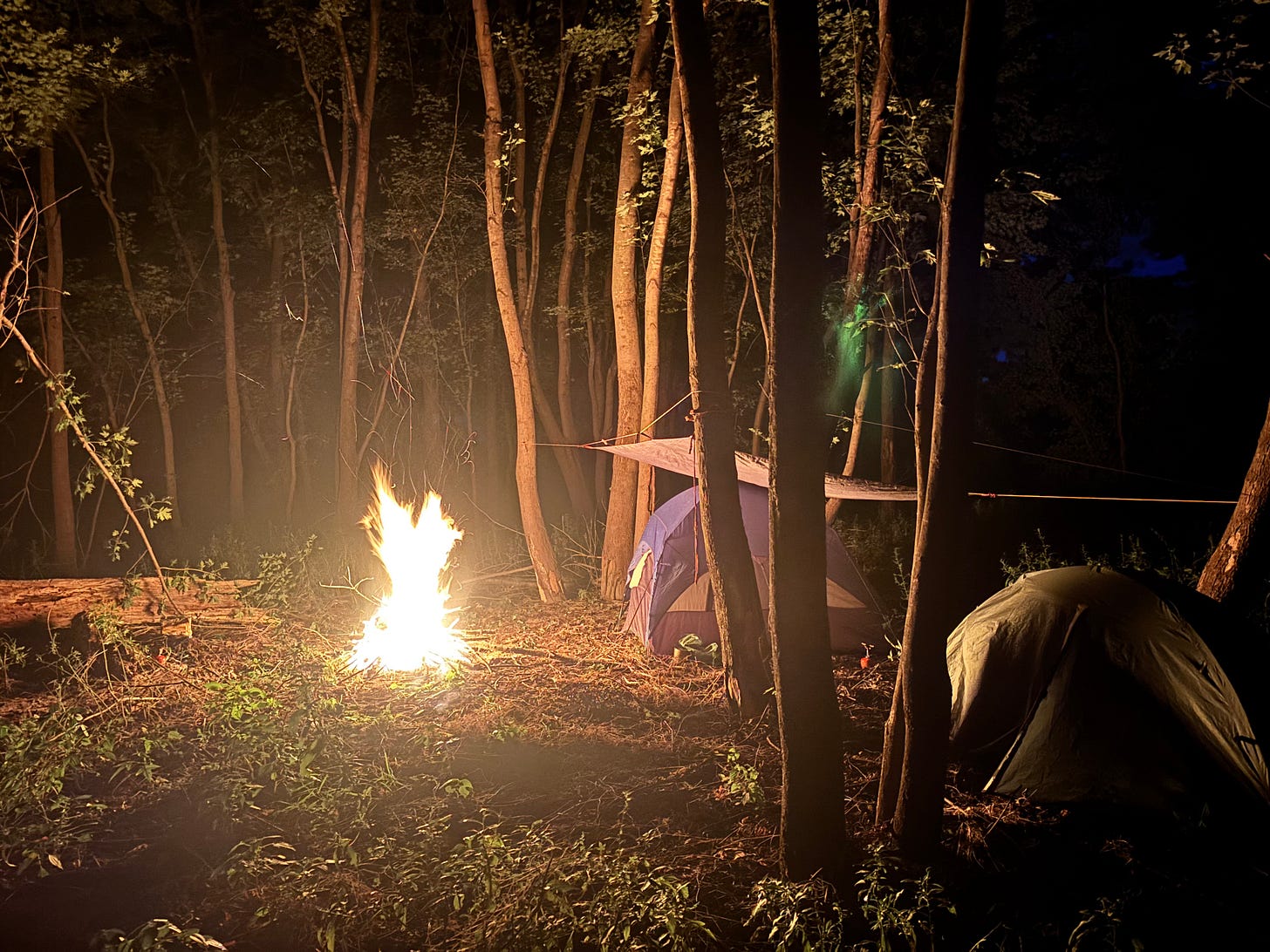 Fun fact: paraffin packets burn even pretty damp wood