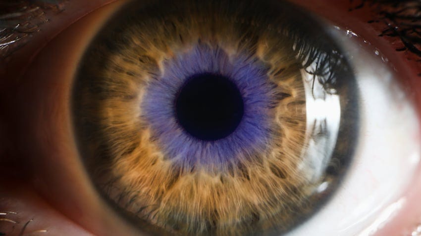 Close-up of human eye