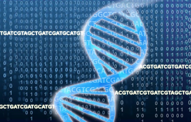 dna-tcga-binary-article.jpg (650×415)