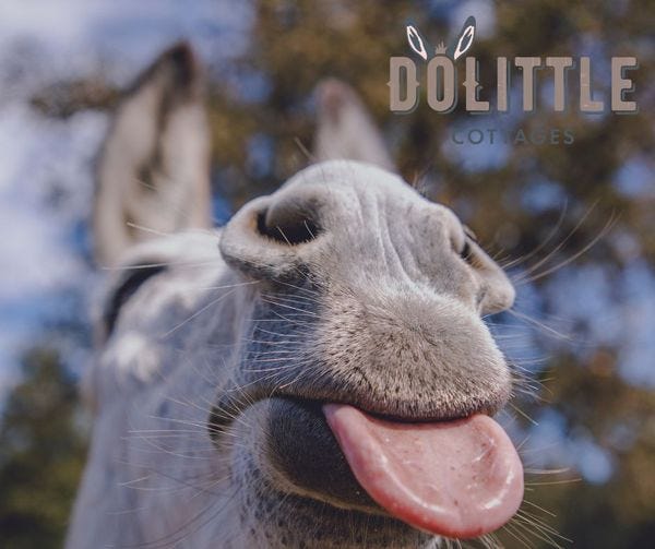 No photo description available.