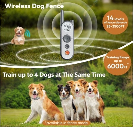 How to Train a Dog With Electric Fence: Expert Tips for Success