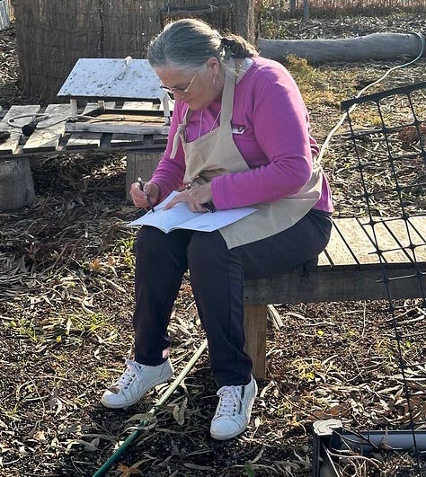 Nature Journaling in Cummins