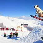 WEEKLY PAYERS -- Yield + Capital Gain Analysis 2/3/2026