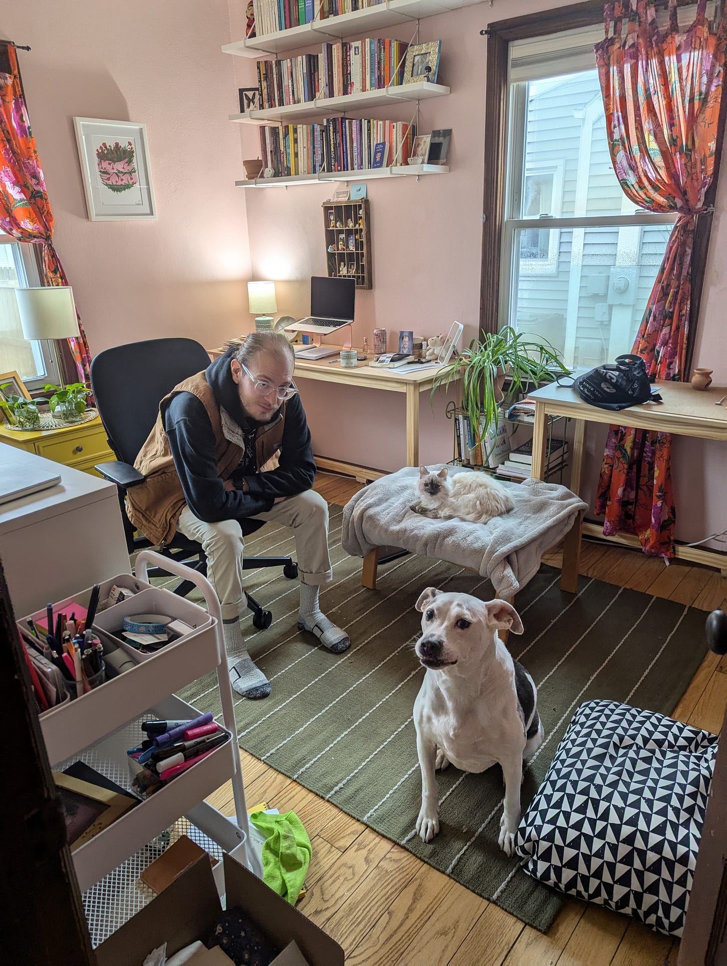 An image of a pink home office with white bookshelves and oak desks, a white man sits in a desk chair leaning forward, a dog sits on the ground eagerly looking at the camera, a white cat is resting on an ottoman also addressing the camera, red curtains hang in the back An image of a pink home office with white bookshelves and oak desks, a white man sits in a desk chair leaning forward, a dog sits on the ground eagerly looking at the camera, a white cat is resting on an ottoman also addressing the camera, red curtains hang in the back