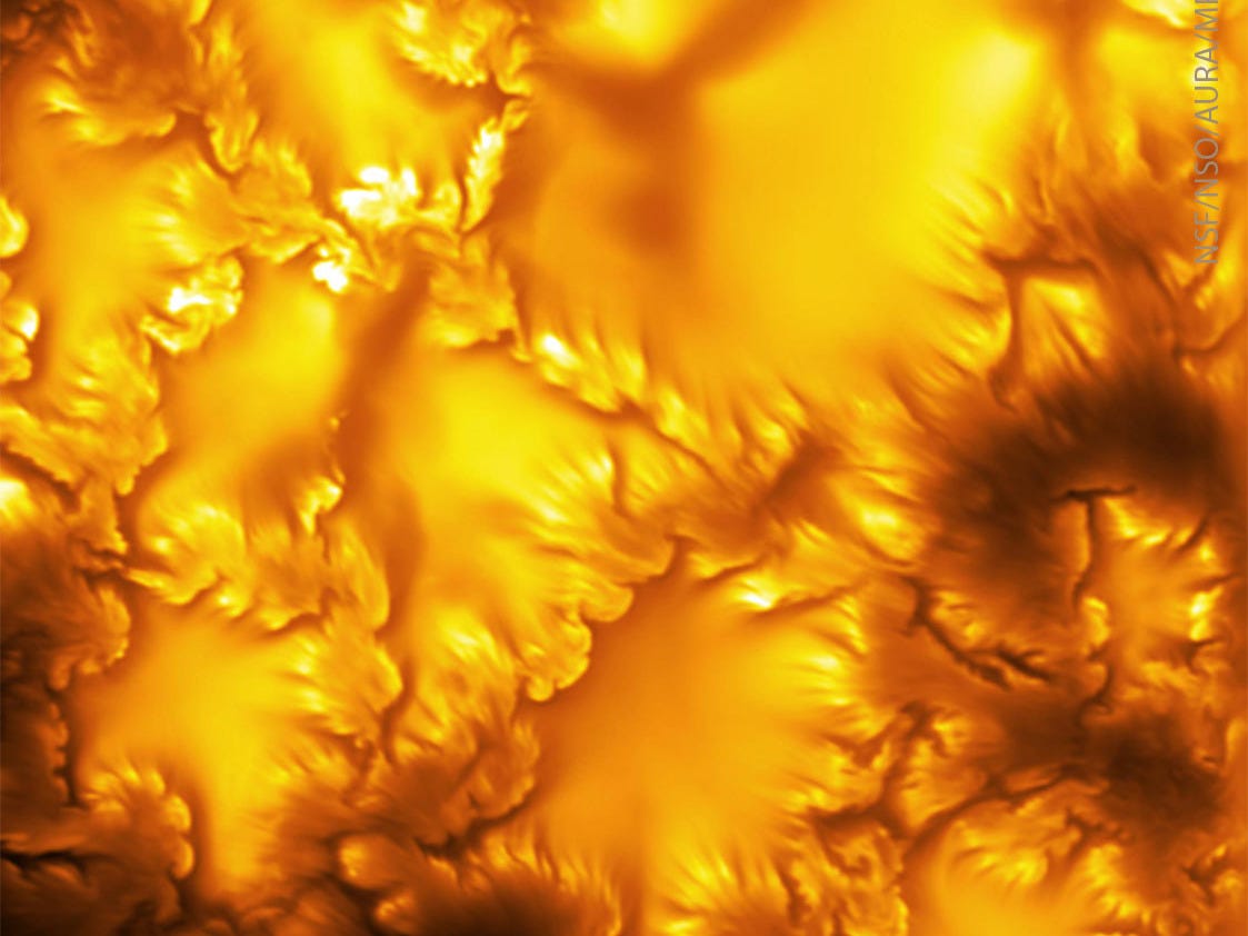 A image shows flowery dark and light structures
on a yellow background.
Please see the explanation for more detailed information. A image shows flowery dark and light structures
on a yellow background.
Please see the explanation for more detailed information.