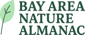 Bay Area Nature Almanac