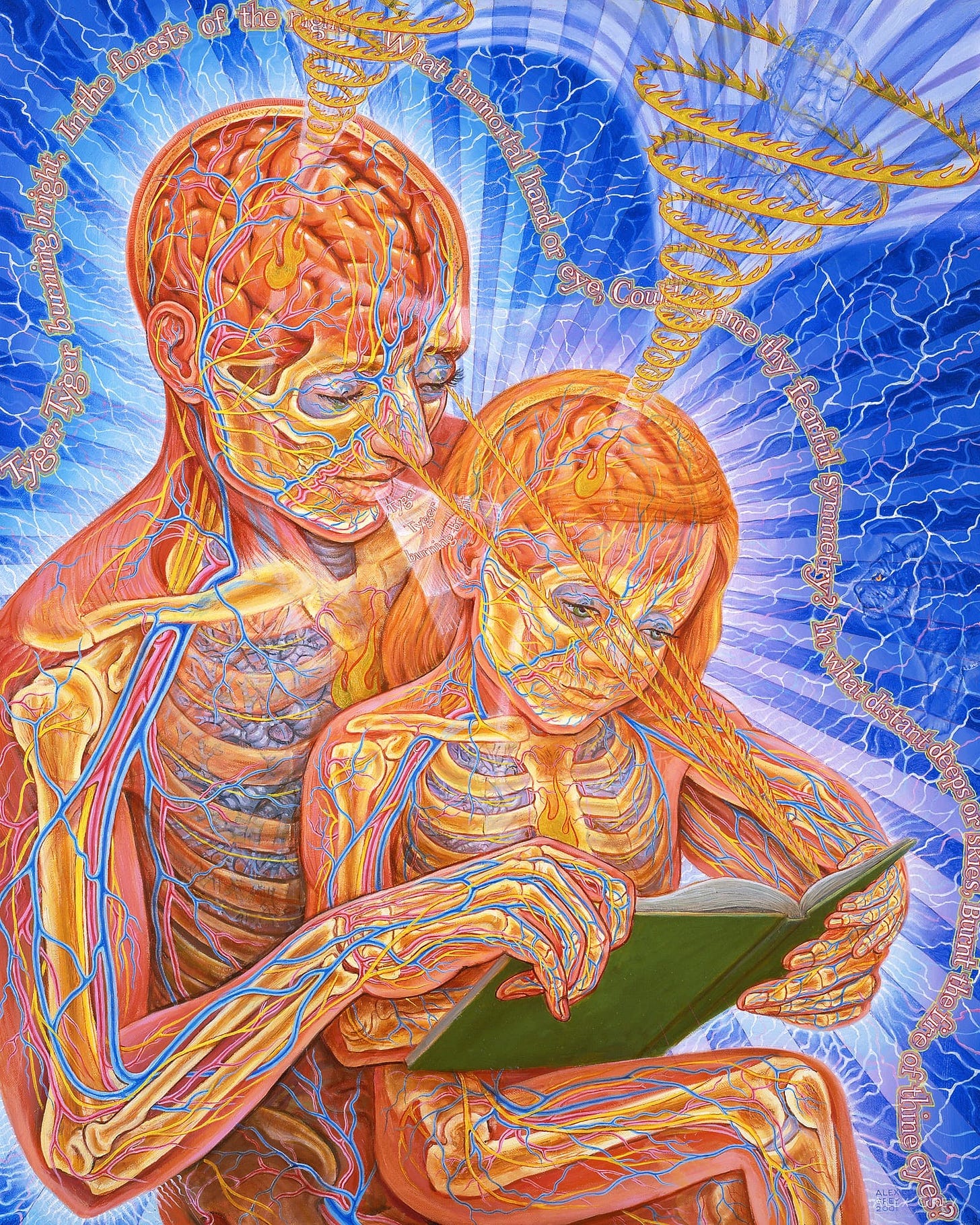 Alex Grey Wonder Wallpaper Hd Alex Grey Wonder Wallpaper Hd