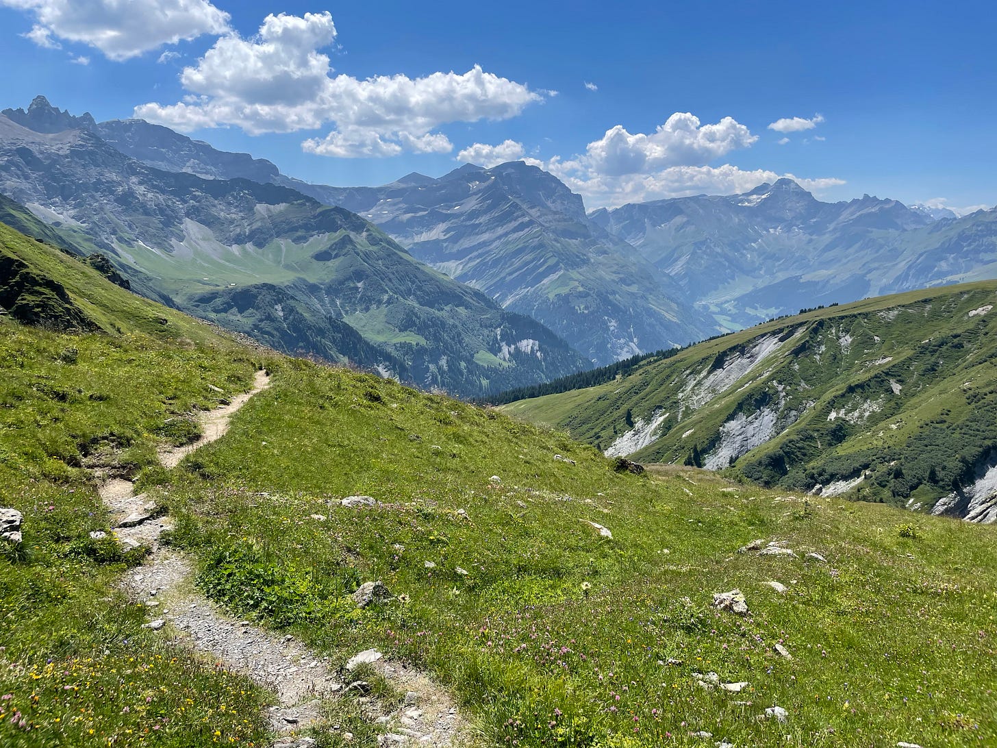 An easy pass: the approach to the flat, grassy, gentle Foopass on the Via Alpina (not on the Haute Route).