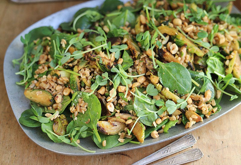 Warm Salad of Farro, Brussels Sprouts and Spinach with Cilantro and Peanut Vinaigrette, Cook the Vineyard
