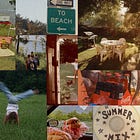feeling moody: a highly curated summer