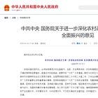 China Issues 2025 No.1 Central Policy Document- Key Points and Translation