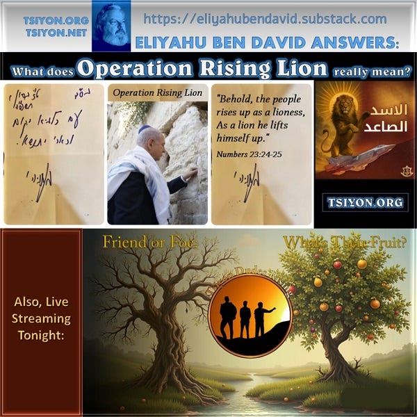 TSIYON NEWS - Rising Lion Sign
