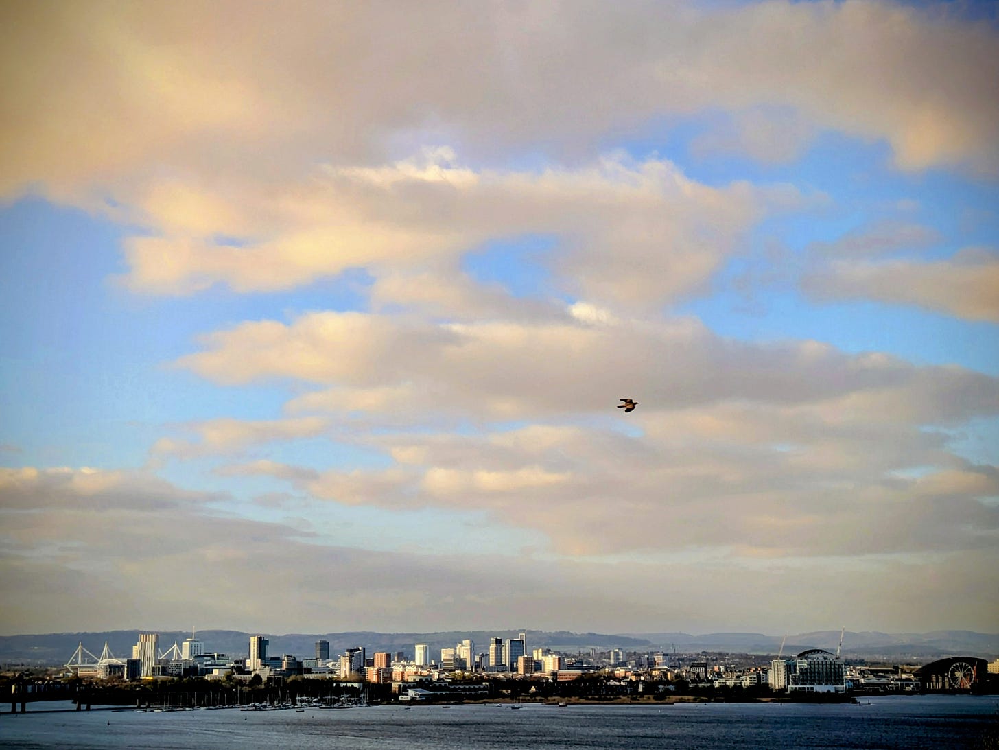 Photo of a city skyline across water. The skyline is at the bottom and there is a huge sky above, across which flies a bird.