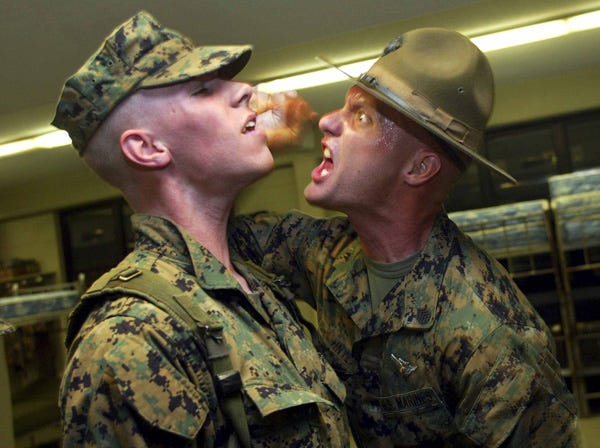 The military is gay