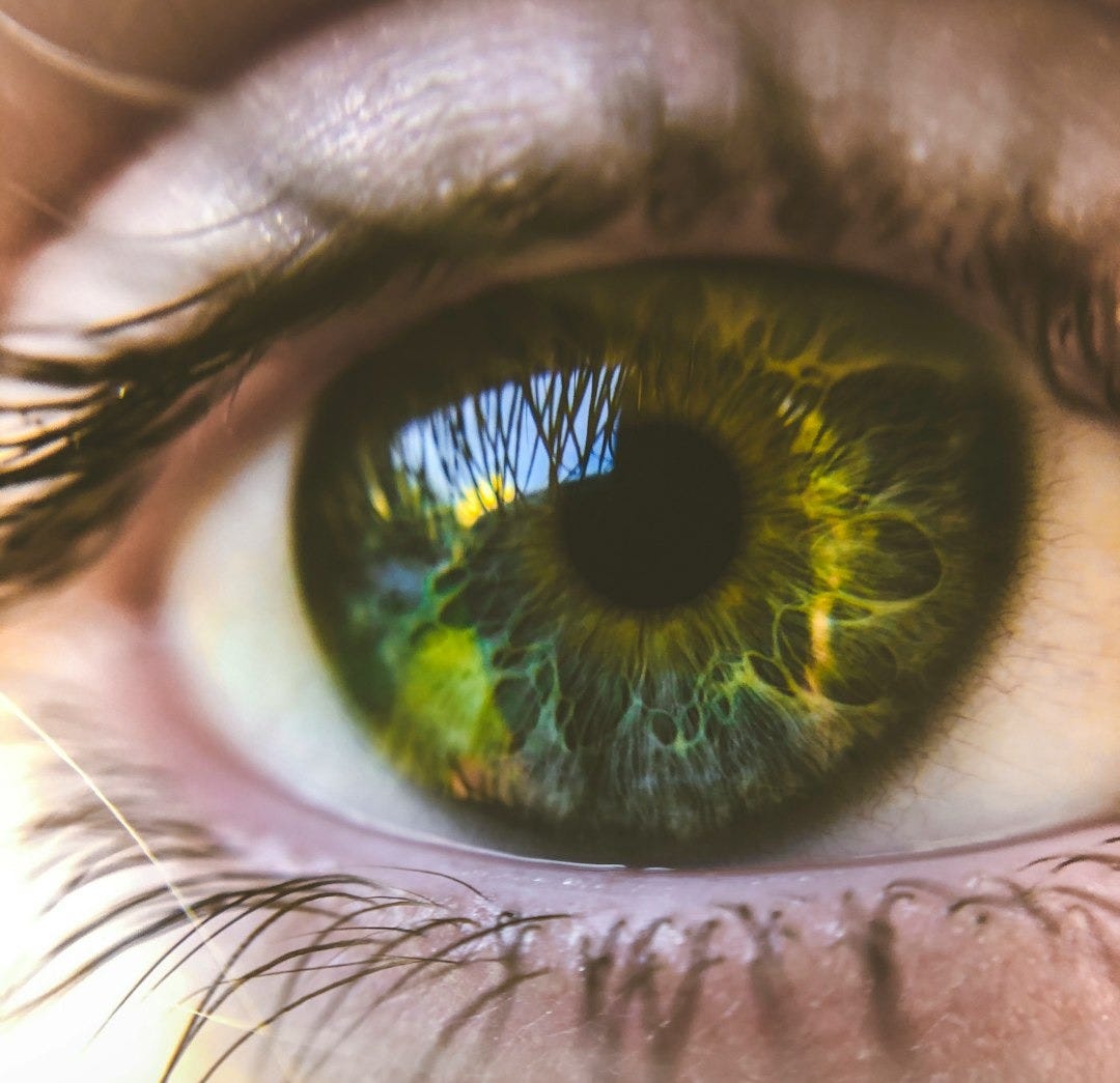 a close up of a person's green eye a close up of a person's green eye
