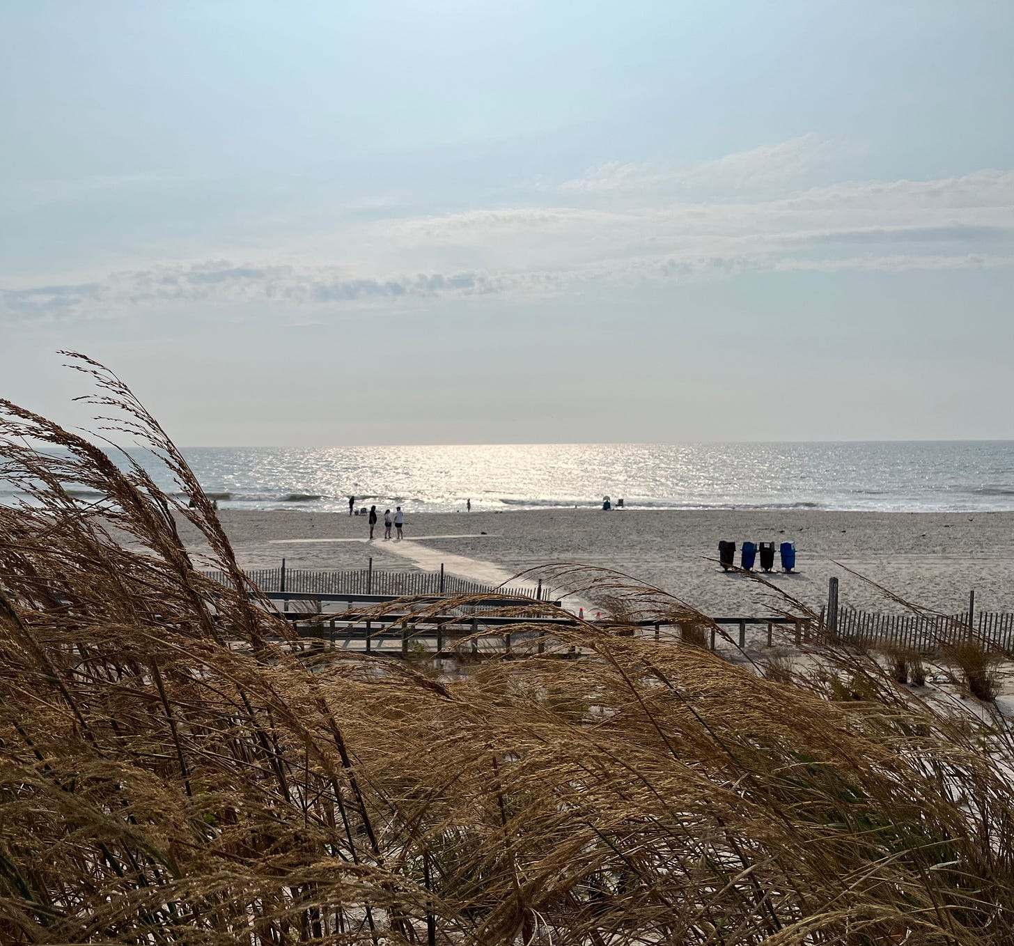 Photo of the beach with some grasses in the foreground.