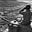 馬永贞's avatar