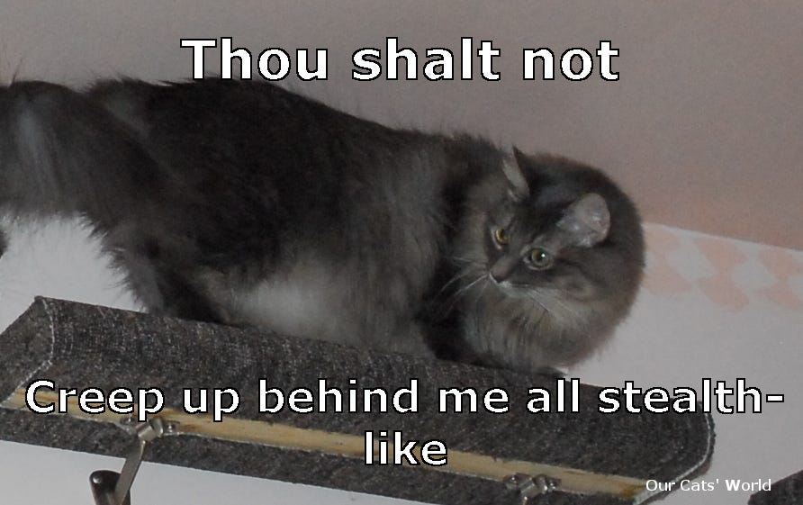 Kali_Stealth_Feline_Commandments Kali_Stealth_Feline_Commandments