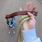 It's just a slip lead