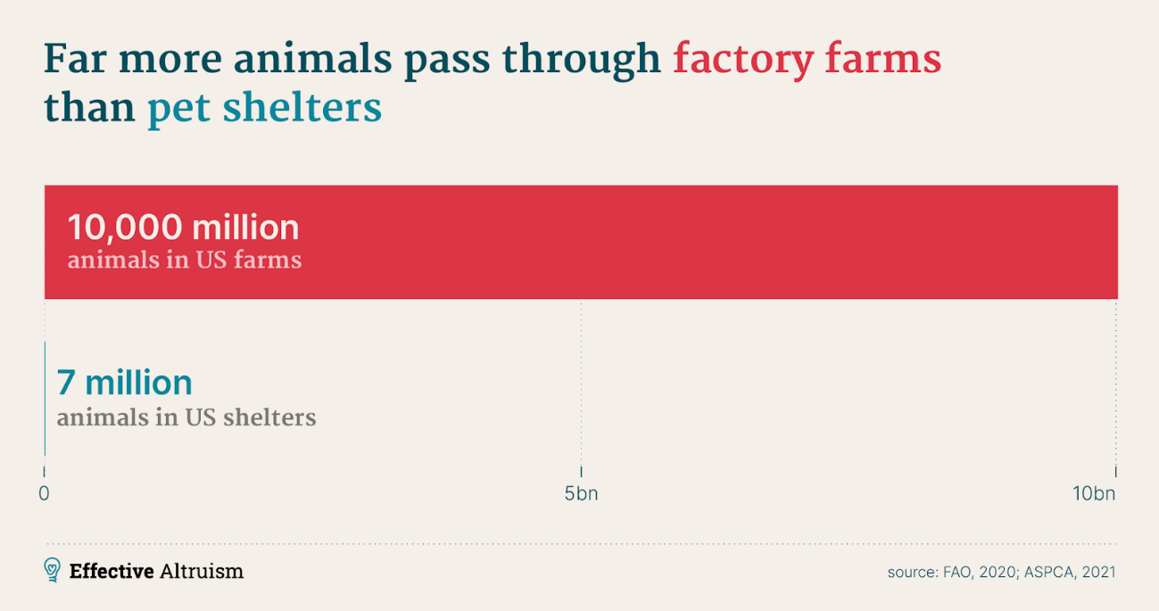 Animals welfare populations Animals welfare populations